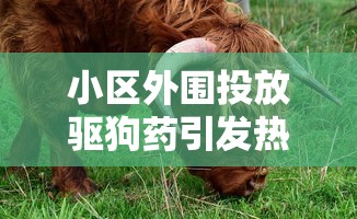 (三国之五虎斩魔兽下载)三国之五虎斩魔兽，英雄与神话的交融