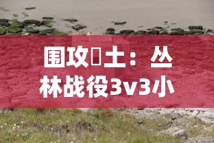 (灵官决什么意思)灵官决的实用性与补充内容分析