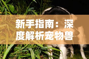 新手指南：深度解析宠物兽争斗核心玩法与最佳攻略，帮助玩家快速提升实力及游戏体验