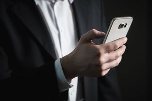 (魔域单机版一键端下载)魔域单机版一键端深度解析，优势、问题与前景展望