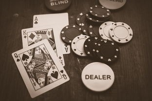 (保卫萝卜4法老归来53)保卫萝卜4，法老归来——一场穿越时空的保卫战