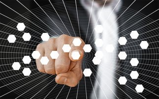 (皇后成长计划李佑攻略详细)皇后成长计划李佑攻略1.8补充内容分析及常见问答