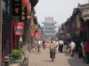 (小鸡奔跑的样子像什么)小鸡奔跑，探索生命力的奥秘