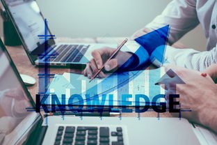(逍遥修真少年赶考柳生)逍遥修真少年的奇幻之旅——多元视角下的分析与探讨