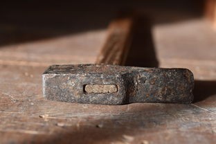 (遇见喵克斯攻略)遇见喵克斯近况分析,多元化视角下的探讨与常见问题解答 (遇见喵克斯攻略)遇见喵克斯近况分析,多元化视角下的探讨与常见问题解答