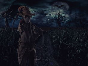 (天影手游通用兑换码)天影手游活动解析，多元化内容与互动体验
