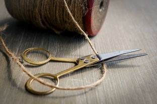 (御龙在天手游内部号申请入口)御龙在天手游内部号深度解析，权益、影响与常见问题解答