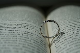 (kio的人间冒险第一关怎么过)KIO人间冒险攻略,波波左边房间的秘密解析 (kio的人间冒险第一关怎么过)KIO人间冒险攻略,波波左边房间的秘密解析