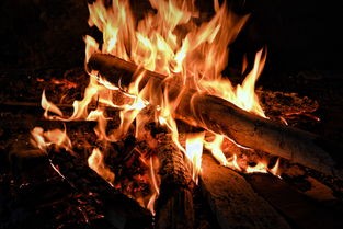 (修仙掌门人残页)修仙掌门人折相思，免广告的修仙世界