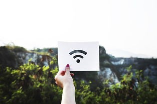 (克鲁赛德战记强度2024)克鲁赛德战记强度解析,多维度的分析与探讨 (克鲁赛德战记强度2024)克鲁赛德战记强度解析,多维度的分析与探讨