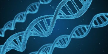 (蔷薇与椿游戏攻略)蔷薇与椿2手游作为一款备受玩家喜爱的游戏，其官方网站提供了丰富的补充内容，为玩家们带来了更多元的游戏体验。以下是一篇1485字的原创文章，将从多个角度对蔷薇与椿2进行分析介绍，并提出一些常见问题及其解答。