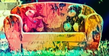 Project Box 5，多元化视角下的深度解析与常见问题解答
