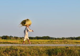 (斗罗大陆逆转时空开服时间表)斗罗大陆逆转时空开服解读，探秘背后的时空奥秘