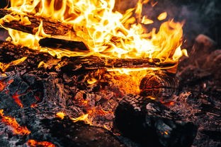 (九天诛魔手游官网)九天诛魔，一款引领奇幻冒险潮流的网络游戏