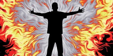 (龙的纷争)龙与纷争论坛补充内容解析，多元化视角下的探讨与常见问答
