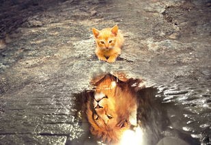 (灵镜传奇后续)灵镜传奇第三部，复活——一部融合东方神秘与西方奇幻的传奇巨著