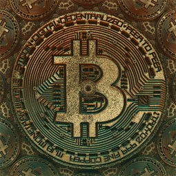 (成人版西游记第三回好词好句摘抄)成人版西游记解读，文本探秘与多元分析