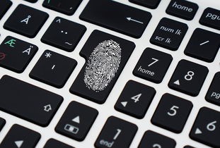 (我爱拼模型最新全部解锁版无限金币钻石)我爱拼模型最新全部解锁版，创新与挑战并存