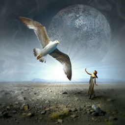 (魔导啥意思)魔导系列深度解析，多元化视角下的探讨与常见问答