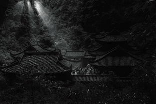 (代号m9官网)代号M9，揭秘背后的科技奥秘