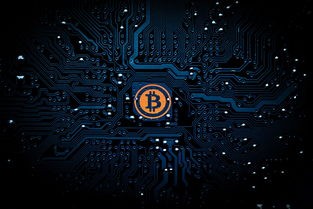(二十四节气各是什么)二十四节气，时间的密码与生活的节奏