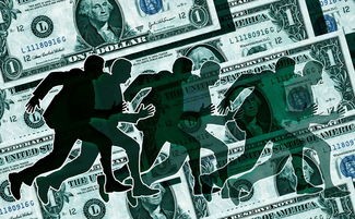 (喵爱玩完成多少次任务才能签到成功?)喵喵爱冒险系列游戏，探索、成长与挑战的旅程