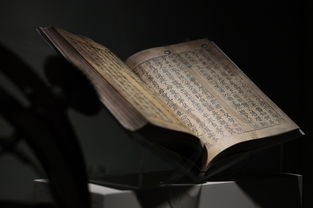 (六界仙灵幻境攻略大全视频)深入探索六界仙灵幻境攻略大全，揭秘仙侠世界中的奥秘