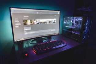 (黑道圣徒攻略)黑道圣徒攻略Xbox360 补充内容解析