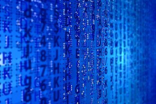 (精灵之境下架了)揭秘精灵之境无法玩转补充内容的原因及解决方法