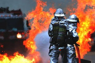 (美少女战士真人版免费播放)女角斗士，新版补充内容解析与多元化分析