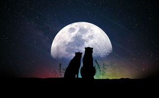 (修真模拟器免广告无限灵气版不实名)修真模拟器免广告无限灵气版，探索修真世界的无限可能