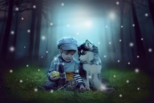 (绝世战魂前传礼包)绝世战魂前传代金券版，深度解析与常见问答