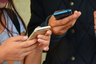 (少年君王传贴吧)少年君王传是一款深受玩家喜爱的角色扮演游戏，自BT服务器上线以来，吸引了大量玩家加入其中。本文将从多元化方向对少年君王传BT服务器进行补充内容分析，并提出相关问题。