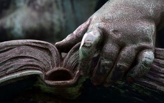 (幻想三国志5一周目与二周目不同)幻想三国志5是一款深受玩家喜爱的策略角色扮演游戏，其丰富的剧情、精美的画面和多样的角色设定，都让玩家们爱不释手。而在游戏进入二周目后，玩家们会发现许多与一周目截然不同的新内容。本文将从多元化方向对幻想三国志5二周目的区别进行补充介绍，并提出一些常见问题供玩家参考。