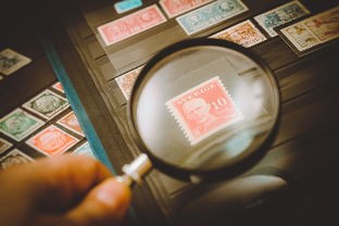 (零使天运)深度解析零灵天运防线手游，多元化策略与游戏体验的碰撞