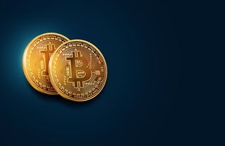 (幸存者传说内置修改器下载)幸存者传说内置修改器，游戏体验的升华与思考