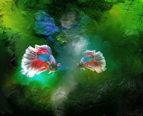 (绝世唐门原著小说)绝世唐门原著补充内容解析，人物、情节与世界观的多维度探讨