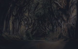 (三国杀 王战)王战三国杀BOSS摸几张，揭秘游戏策略与趣味性