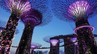 (仙境传说ro手游猎人装备)仙境传说RO，爱如初见猎人武器补充内容解析