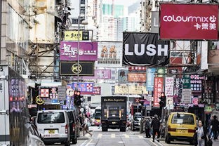 (最后的勇士3)最后的勇士2，深度解析与多元视角探讨
