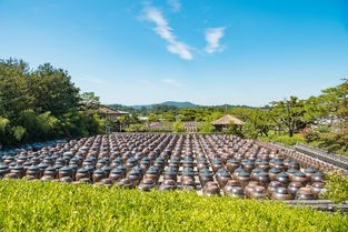 (蔬菜果园红包版)蔬菜庄园红包版，现代农业的智慧与创新探索
