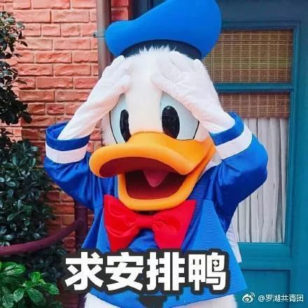 汪星人冲鸭无限金币mod下载-汪星人冲鸭汉化下载手机版v.7.24